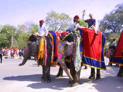 india_elephant_ride.JPG (70334 bytes)
